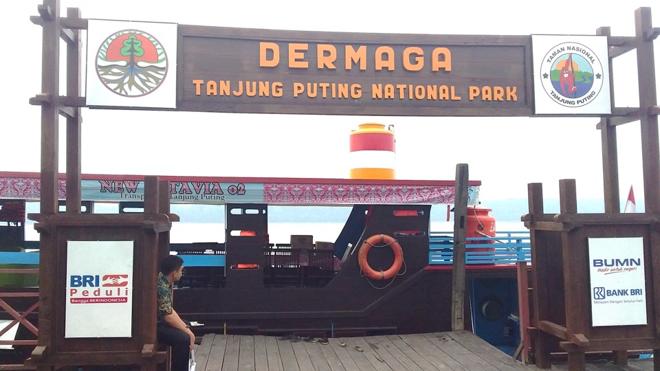 Orangutan Tour - Tanjung Puting National Park