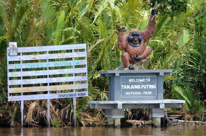 The largest orangutan habitat in the world.