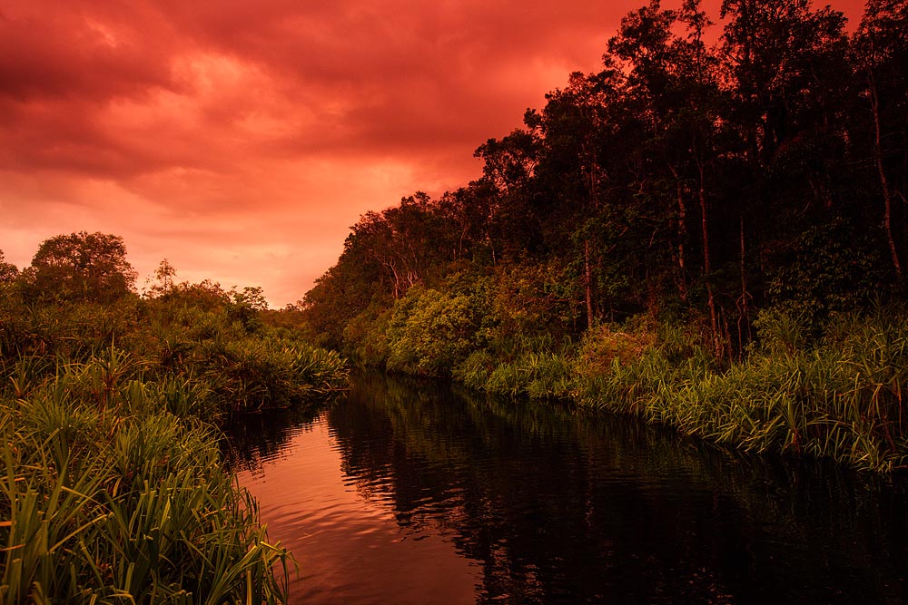 A breathtaking golden sunset over the winding waters of the Sekonyer River.