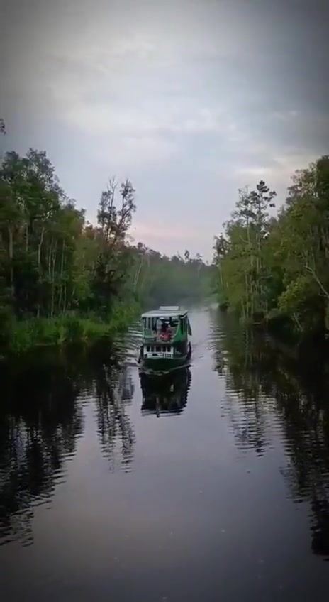 The klotok cruising along a mirror-still blackwater river as evening light fades into the forest horizon.
