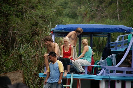 Orangutan Tour